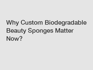 Why Custom Biodegradable Beauty Sponges Matter Now?