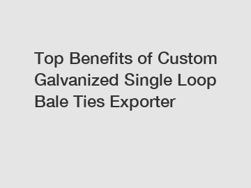 Top Benefits of Custom Galvanized Single Loop Bale Ties Exporter