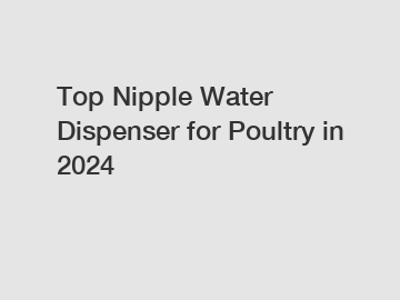 Top Nipple Water Dispenser for Poultry in 2024