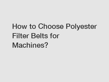 How to Choose Polyester Filter Belts for Machines?