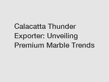 Calacatta Thunder Exporter: Unveiling Premium Marble Trends