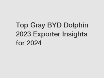 Top Gray BYD Dolphin 2023 Exporter Insights for 2024