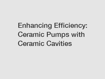 Enhancing Efficiency: Ceramic Pumps with Ceramic Cavities