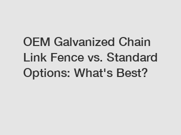 OEM Galvanized Chain Link Fence vs. Standard Options: What's Best?