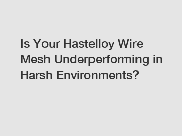 Is Your Hastelloy Wire Mesh Underperforming in Harsh Environments?