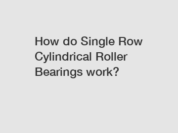 How do Single Row Cylindrical Roller Bearings work?