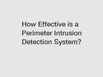 How Effective is a Perimeter Intrusion Detection System?