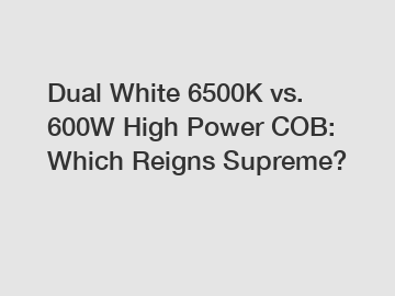 Dual White 6500K vs. 600W High Power COB: Which Reigns Supreme?