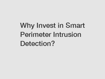 Why Invest in Smart Perimeter Intrusion Detection?