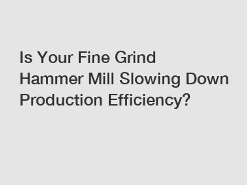 Is Your Fine Grind Hammer Mill Slowing Down Production Efficiency?