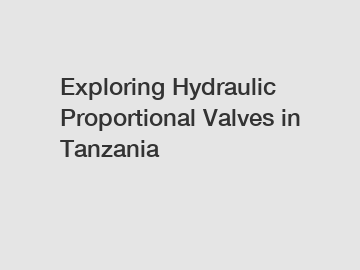 Exploring Hydraulic Proportional Valves in Tanzania