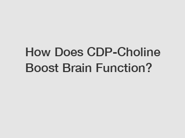 How Does CDP-Choline Boost Brain Function?