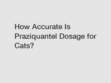 How Accurate Is Praziquantel Dosage for Cats?