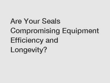 Are Your Seals Compromising Equipment Efficiency and Longevity?