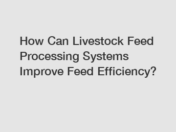 How Can Livestock Feed Processing Systems Improve Feed Efficiency?