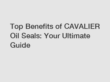 Top Benefits of CAVALIER Oil Seals: Your Ultimate Guide