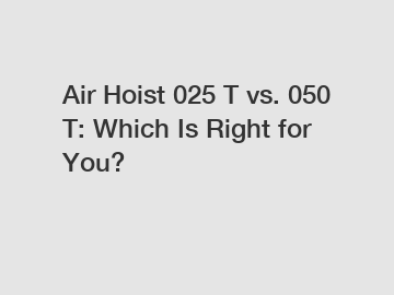 Air Hoist 025 T vs. 050 T: Which Is Right for You?