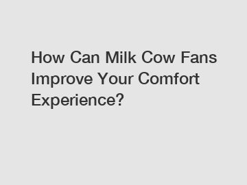 How Can Milk Cow Fans Improve Your Comfort Experience?