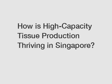How is High-Capacity Tissue Production Thriving in Singapore?