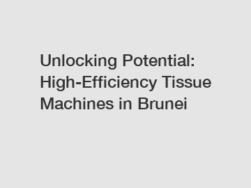 Unlocking Potential: High-Efficiency Tissue Machines in Brunei