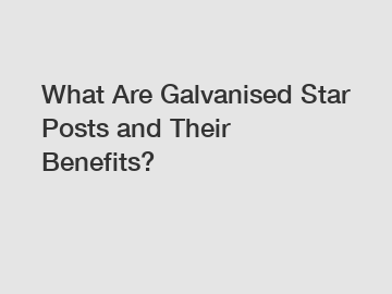 What Are Galvanised Star Posts and Their Benefits?