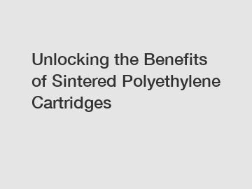 Unlocking the Benefits of Sintered Polyethylene Cartridges