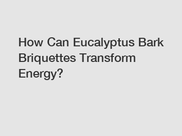 How Can Eucalyptus Bark Briquettes Transform Energy?