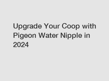 Upgrade Your Coop with Pigeon Water Nipple in 2024