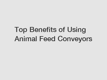 Top Benefits of Using Animal Feed Conveyors