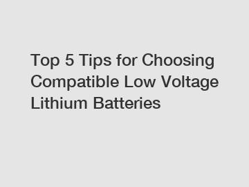 Top 5 Tips for Choosing Compatible Low Voltage Lithium Batteries