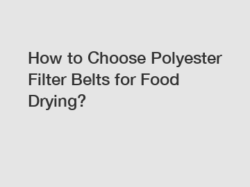 How to Choose Polyester Filter Belts for Food Drying?