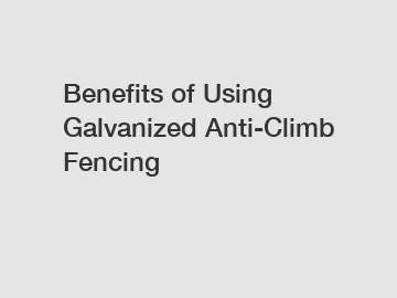 Benefits of Using Galvanized Anti-Climb Fencing