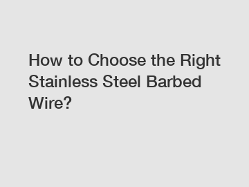 How to Choose the Right Stainless Steel Barbed Wire?