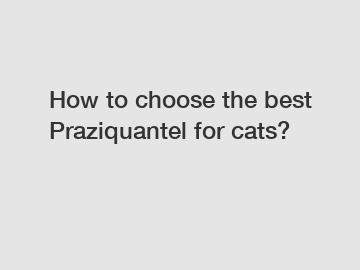 How to choose the best Praziquantel for cats?