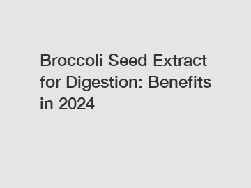 Broccoli Seed Extract for Digestion: Benefits in 2024 Broccoli Seed Extract for Digestion: Benefits in 2024