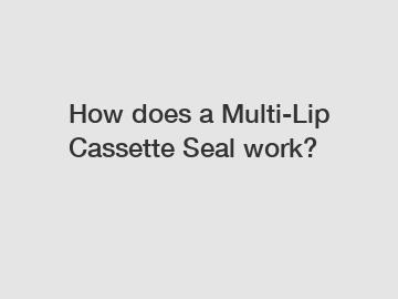 How does a Multi-Lip Cassette Seal work?
