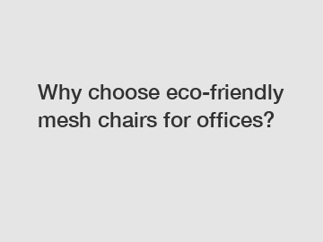 Why choose eco-friendly mesh chairs for offices?