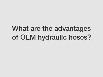 What are the advantages of OEM hydraulic hoses?