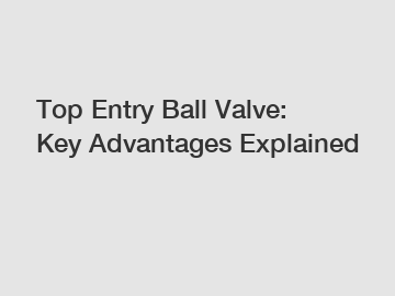 Top Entry Ball Valve: Key Advantages Explained