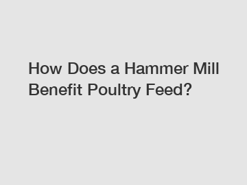 How Does a Hammer Mill Benefit Poultry Feed?