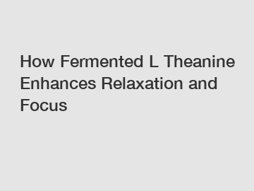 How Fermented L Theanine Enhances Relaxation and Focus