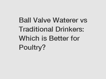 Ball Valve Waterer vs Traditional Drinkers: Which is Better for Poultry?