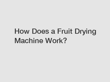 How Does a Fruit Drying Machine Work?