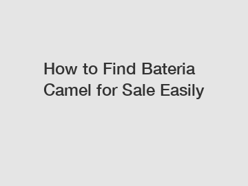 How to Find Bateria Camel for Sale Easily