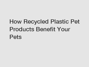 How Recycled Plastic Pet Products Benefit Your Pets