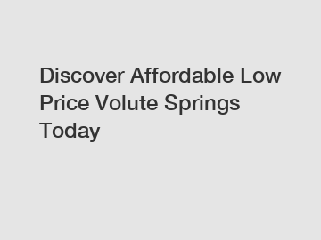 Discover Affordable Low Price Volute Springs Today
