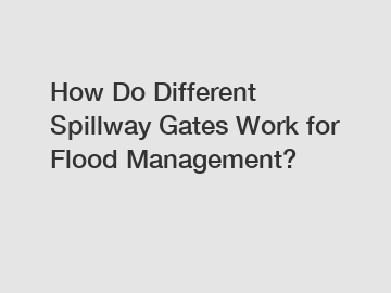 How Do Different Spillway Gates Work for Flood Management?