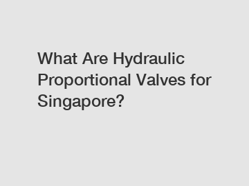 What Are Hydraulic Proportional Valves for Singapore?