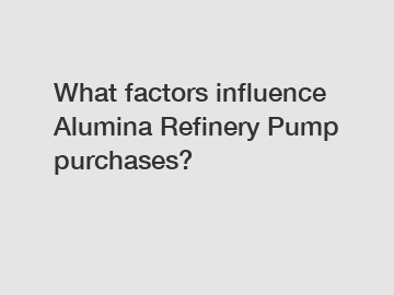 What factors influence Alumina Refinery Pump purchases?