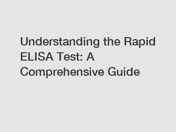 Understanding the Rapid ELISA Test: A Comprehensive Guide